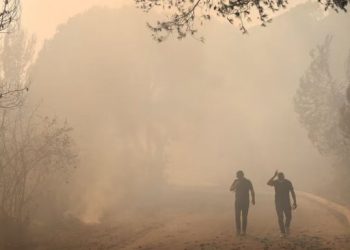 I nxehti ekstrem godet Ballkanin, zjarre të mëdha në disa shtete