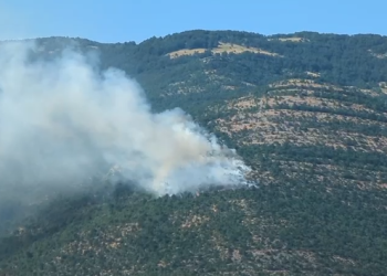 Ministria e Mbrojtjes: 11 vatra zjarri ende aktive (Harta)