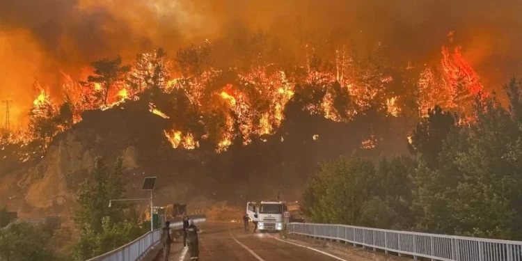 Zjarret “rrethojnë” Turqinë, gjendje e rëndë në Greqi dhe Bullgari
