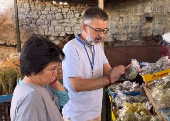 “O Muçi, t’u bëftë Bardha kurban”, reagojnë Tatimet: Tregtarët ambulantë nuk janë të detyruar për faturë
