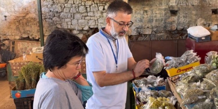 “O Muçi, t’u bëftë Bardha kurban”, reagojnë Tatimet: Tregtarët ambulantë nuk janë të detyruar për faturë