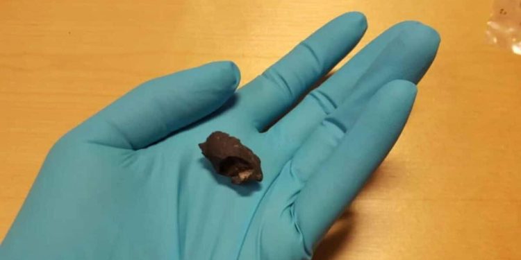 Arkeologët të tronditur nga ADN-ja e lashtë në çamçakëzin prehistorik të gjetur në Suedi