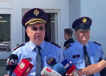 Dorëhiqet drejtori i Policisë Kufitare dhe Migracionit