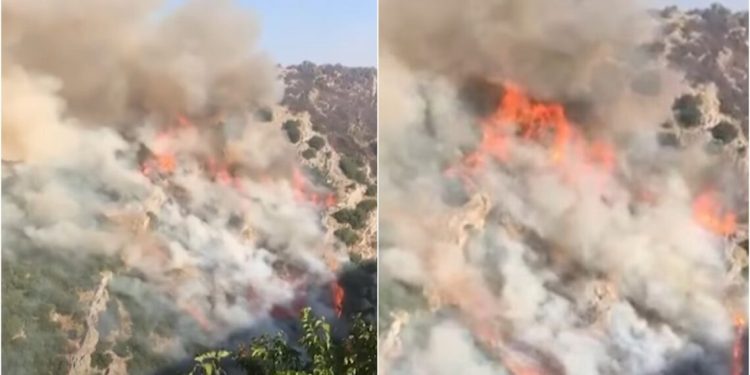 Zjarri në Delvinë/ Digjen 11 banesa në Senicë