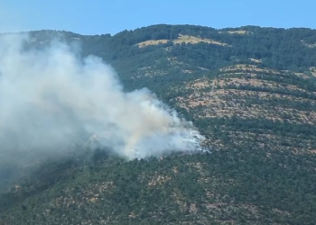 Zjarret në vend/ Në 24 orë janë raportuar 21 vatra, katër prej tyre janë ende aktive