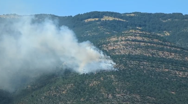Zjarret në vend/ Në 24 orë janë raportuar 21 vatra, katër prej tyre janë ende aktive