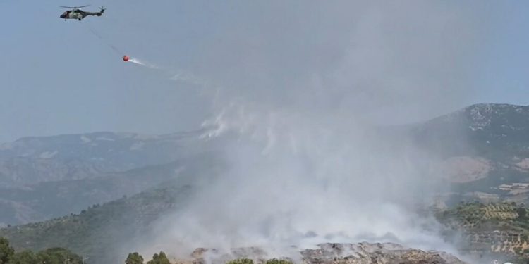 Situata e zjarreve në vend, regjistrohen 14 vatra zjarri, mbeten aktive 4 prej tyre