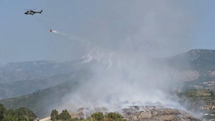 Situata e zjarreve në vend, regjistrohen 14 vatra zjarri, mbeten aktive 4 prej tyre