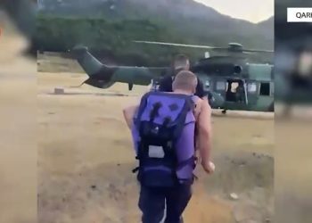 Asgjësohen mbi 40 mijë bimë kanabis në Shkodër, procedohen penalisht tetë kryetarë fshatrash