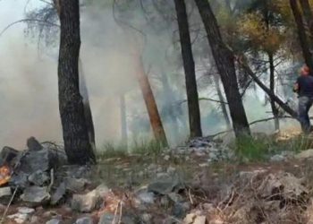 U vuri zjarrin shkurreve që i kishin mbuluar varrin e së ëmës, e pëson 33-vjeçari në Elbasan