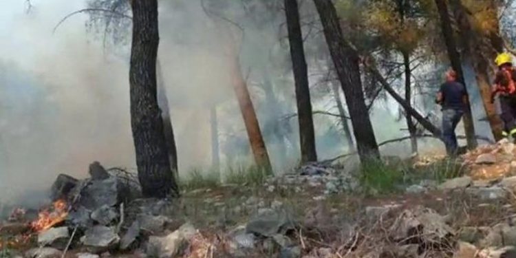 U vuri zjarrin shkurreve që i kishin mbuluar varrin e së ëmës, e pëson 33-vjeçari në Elbasan