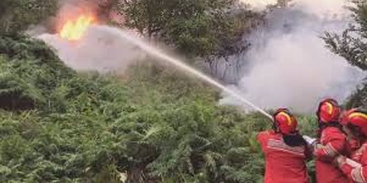 MM bën bilancin e zjarreve: 18 vatra gjatë 24 orëve të fundit, ja ku paraqitet rreziku më i lartë