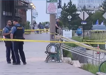 Zbulohet dinamika e vrasjes së Chrystofer Whyte: Një i mitur përballet me akuza për vrasje