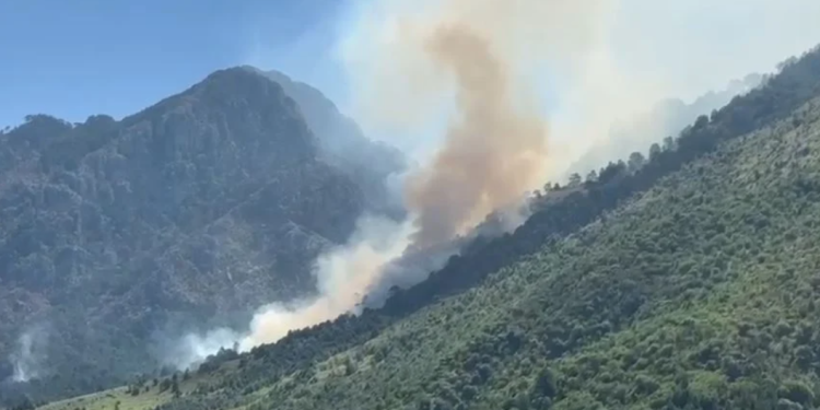 Zjarri në Dukat rrezikon Parkun Kombëtar të Llogarasë! Kërkohet ndërhyrje nga ajri
