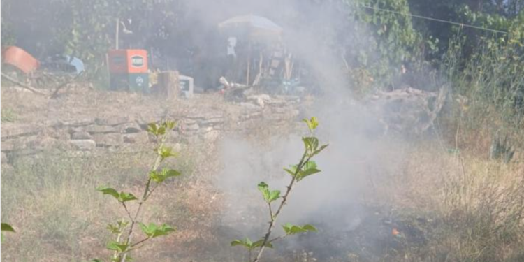 Zjarr pranë varrezave të Dëshmorëve në Gjirokastër