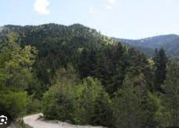 Gjendet një person i pajetë në Alipostivan, dyshimet e para