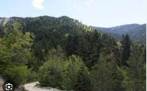 Gjendet një person i pajetë në Alipostivan, dyshimet e para