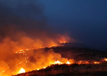 Zjarr i madh në Piqeras, flakët i afrohen banesave