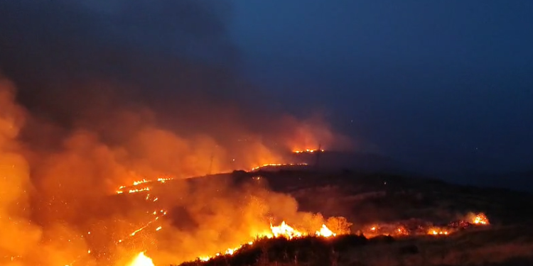 Zjarr i madh në Piqeras, flakët i afrohen banesave