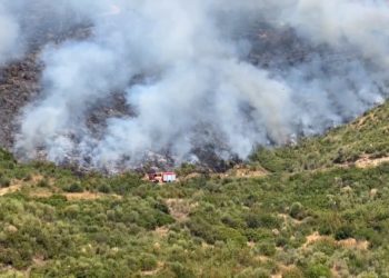 Situata e zjarrëve në vend, u raportuan 37 raste, mbeten aktive 4 vatra