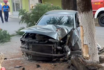 Me shpejtësi skëterrë, automjeti përplaset me pemën! Plagoset rëndë shoferi në Maliq