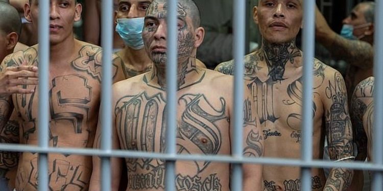 “Kush fal ujkun, sakrifikon delet”, Bukele kërcënon Francën: Do t’ju dërgojmë kriminelët tanë më famëkeq!