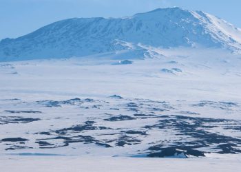 Zbulimi i mbetjeve më të vjetra njerëzore në Antarktidë ngre pyetje të reja