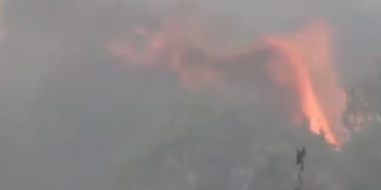 I nxehti “mbërthen” Europën/ Dy viktima në Itali, evakuime banorësh në Turqi