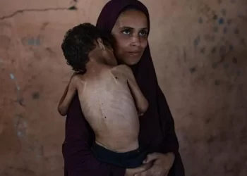 Opinion: Tmerri i Gazës që ende na lë indiferentë