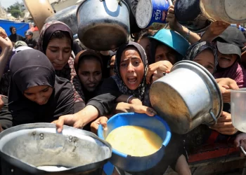 Gaza në agoni: Edhe ata që ndihmojnë, vuajnë për një copë bukë!