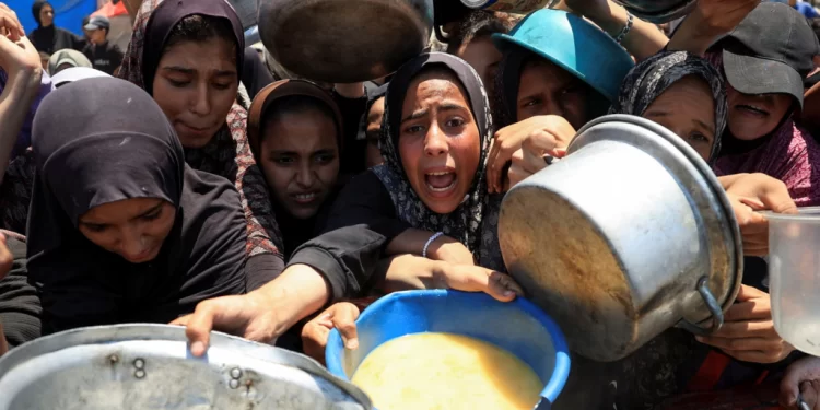 Gaza në agoni: Edhe ata që ndihmojnë, vuajnë për një copë bukë!