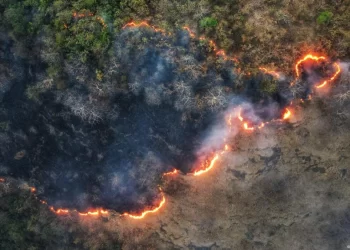 Ballkani/ Mijëra hektarë tokë në flakë, shtëpi të shkrumbuara e njerëz të pastrehë