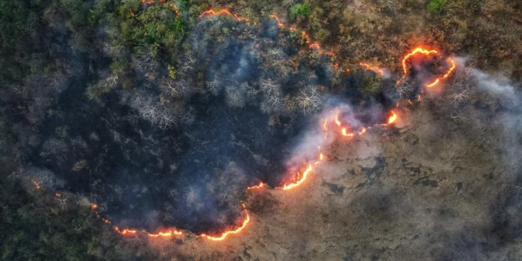 Ballkani/ Mijëra hektarë tokë në flakë, shtëpi të shkrumbuara e njerëz të pastrehë