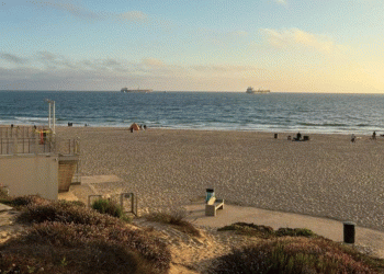 Valët e cunamit godasin brigjet e SHBA-së, ja kur pritet të shfaqen në pjesë të tjera