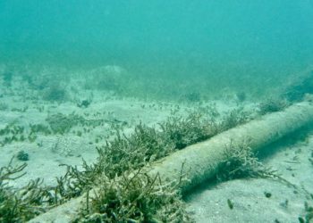 Rritet rreziku për sulme ndaj kabllove nënujore të internetit, të mbështetura nga Rusia dhe Kina