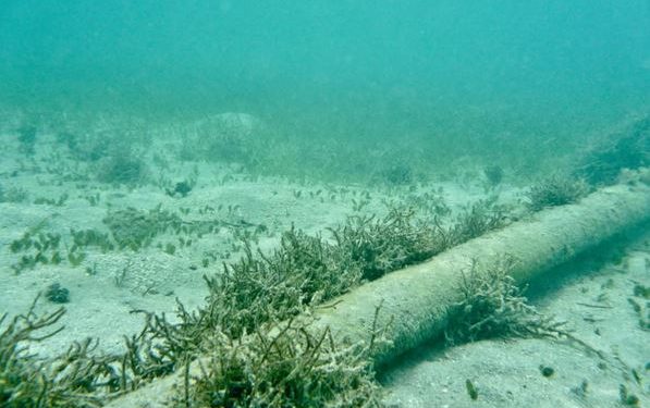 Rritet rreziku për sulme ndaj kabllove nënujore të internetit, të mbështetura nga Rusia dhe Kina