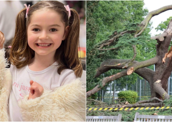 E rëndë në Londër! Pema bie mbi 5 fëmijë shqiptarë, humb jetën 7-vjeçarja, në gjendje të rëndë e motra