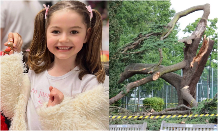 E rëndë në Londër! Pema bie mbi 5 fëmijë shqiptarë, humb jetën 7-vjeçarja, në gjendje të rëndë e motra