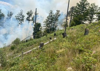 Zjarri në Parkun Kombëtar të Lurës, Forcat e Armatosura i bashkohen grupeve për shuarjen e flakëve