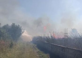 Zjarr i madh në Lushnjë, digjen disa toka dhe një parcelë me ullinj! Flakët favorizohen nga era e fortë