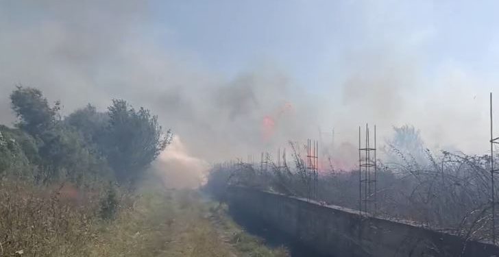 Zjarr i madh në Lushnjë, digjen disa toka dhe një parcelë me ullinj! Flakët favorizohen nga era e fortë