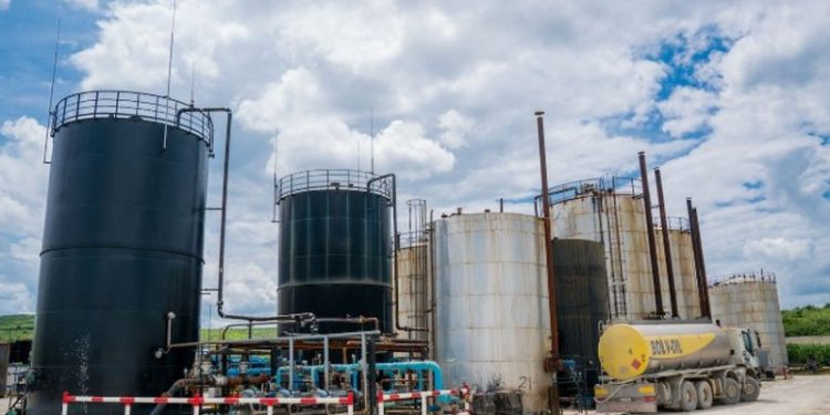 I shkaktuan miliona euro dëm shtetit, Gjykata e Fierit lë në burg CEO-n dhe ish-administratorin e “Bankers Petroleum”