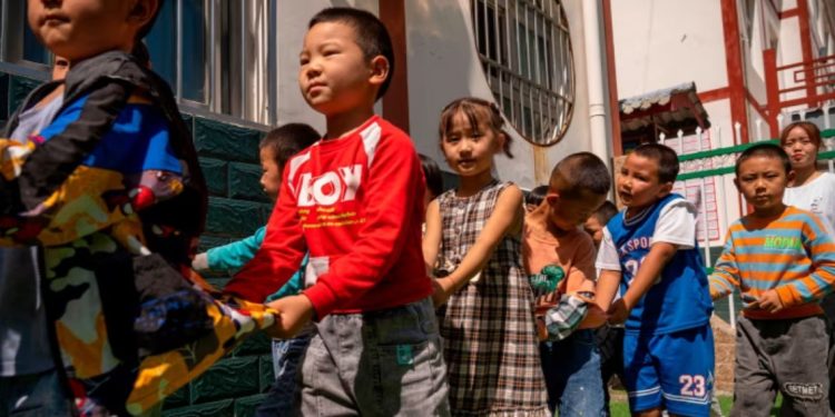 Kopshtet kineze në krizë, regjistrimet bien me 25% brenda katër viteve