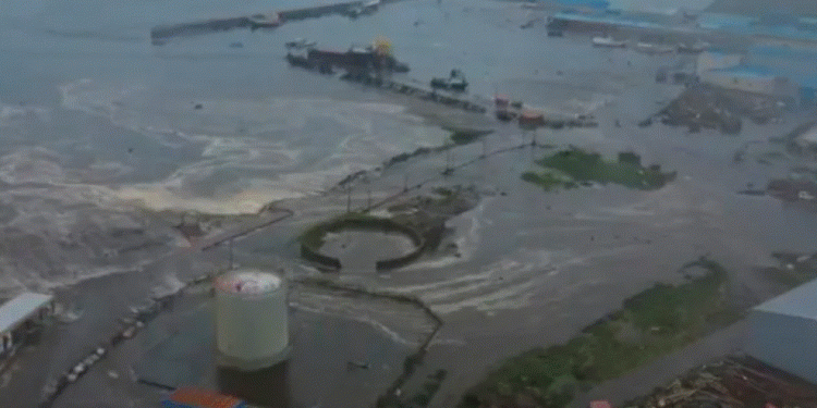 Paqësori nuk gjen qetësi, valët e para të tsunamit po arrijnë në Kaliforni