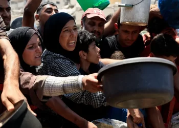 “As edhe një thërrime”, palestinezët në Gaza kërkojnë me dëshpërim për ushqim