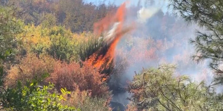 14 vatra zjarri aktive në Shqipëri, 4 vazhdojnë të jenë problematike
