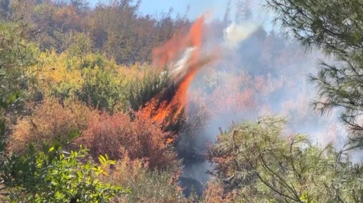 14 vatra zjarri aktive në Shqipëri, 4 vazhdojnë të jenë problematike