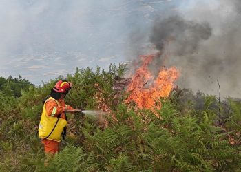 Situata e zjarreve në vend/ Gjatë ditës së sotme u regjistruan 15 vatra, mbeten aktive ende katër