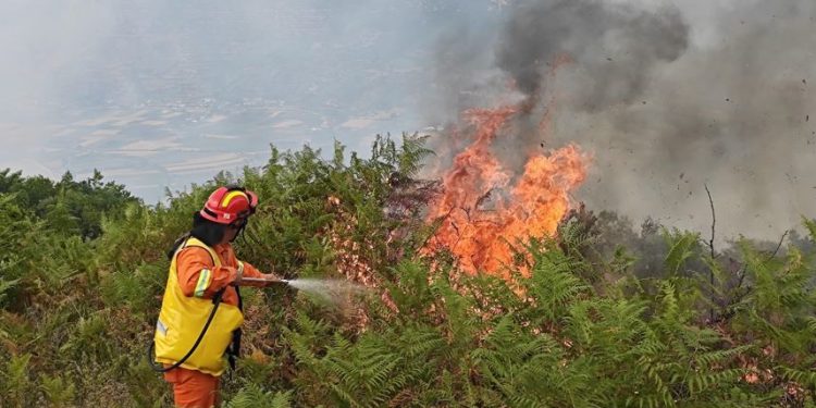 Situata e zjarreve në vend/ Gjatë ditës së sotme u regjistruan 15 vatra, mbeten aktive ende katër