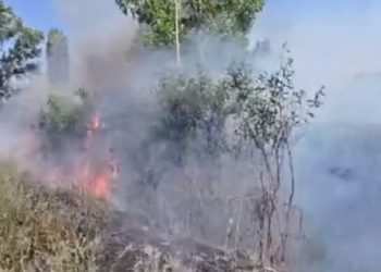 Zjarr në Gjirokastër